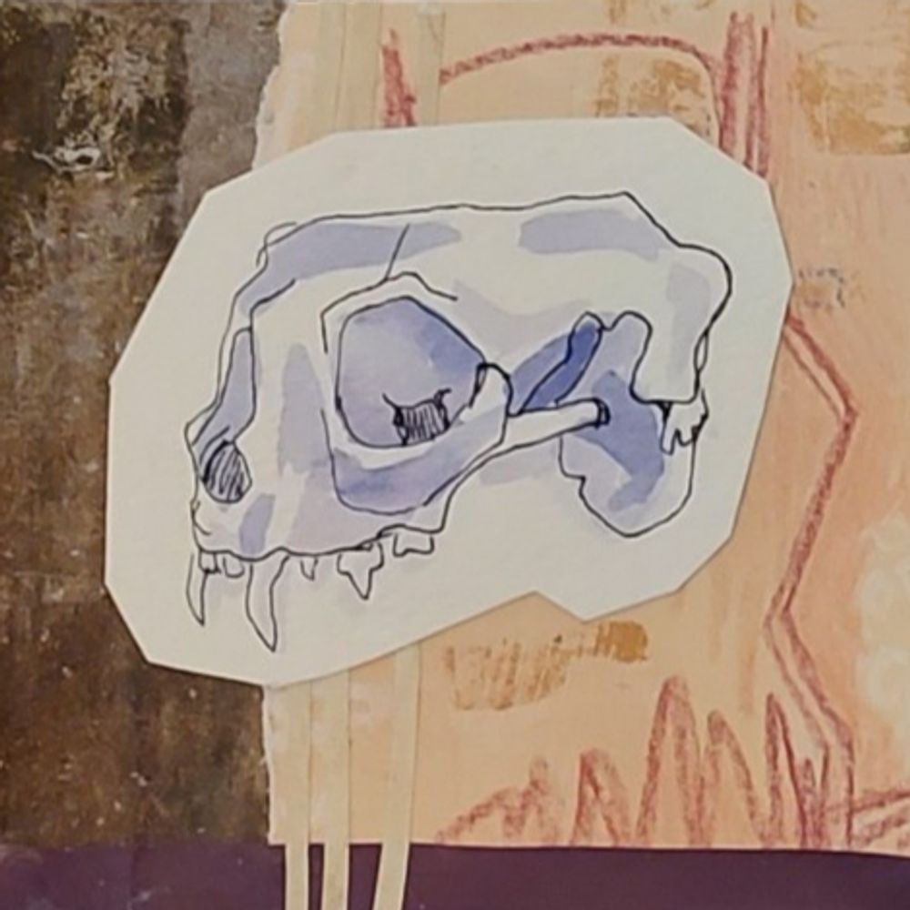 collage with drawing of skull