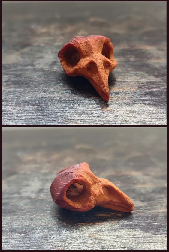 fox whittled from avacado pit
