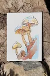 mushroom