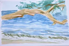 beach
