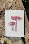 mushroom