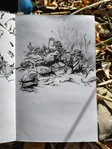 rocks