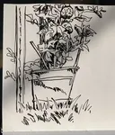 tomato plant