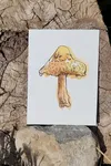 mushroom