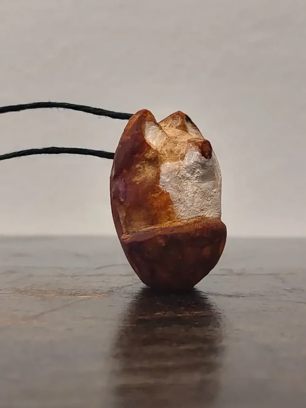 fox whittled from avacado pit